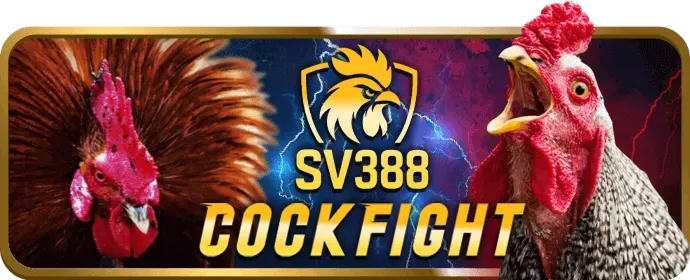 Khuyến mãi đá gà và xổ số 7889bet